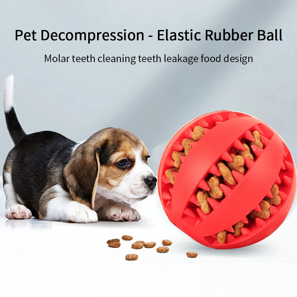 Pet Dog Ball Toys for Small Dogs Interactive Elasticity Puppy Chew Toy Tooth Cleaning Rubber Food Ball Toy Pet Stuff Accessories