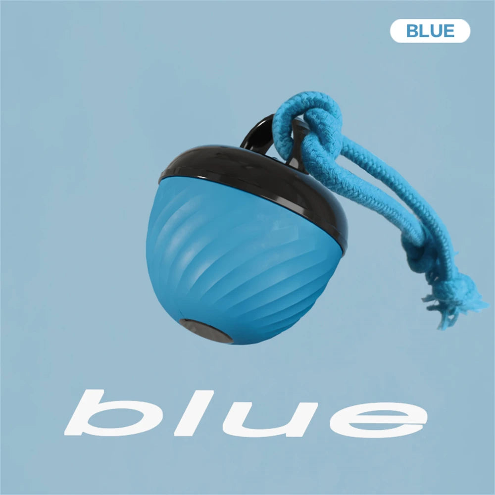 Pet Ball for Dogs Interactive Toys Motion Activate Rolling Ball for Puppy/Small Dogs Automatic Moving Toy USB Rechargeable Toy